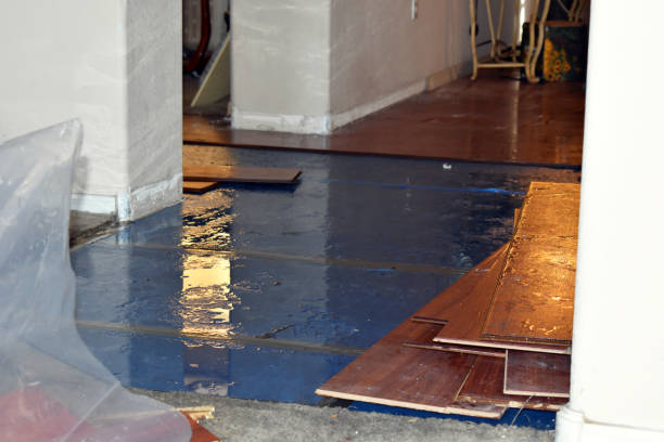 Professional Water Damage Restoration technician working in Williamsfield, OH